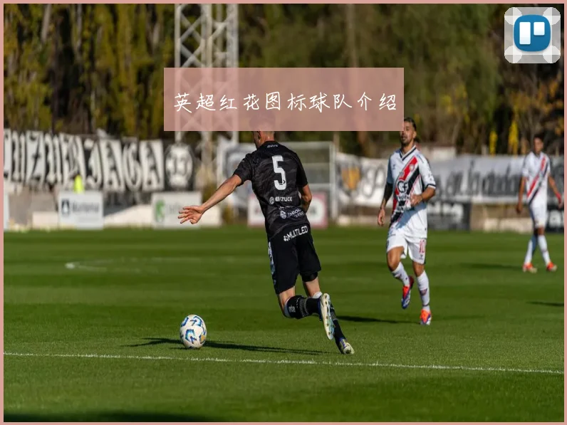 英超红花图标球队介绍